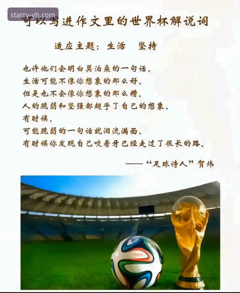 贝里瓦尔世界杯梦想与坚韧之路详解